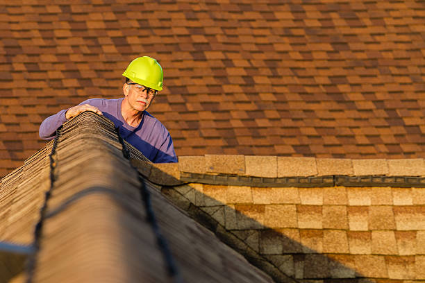 Best Roof Gutter Cleaning  in Huber Ridge, OH